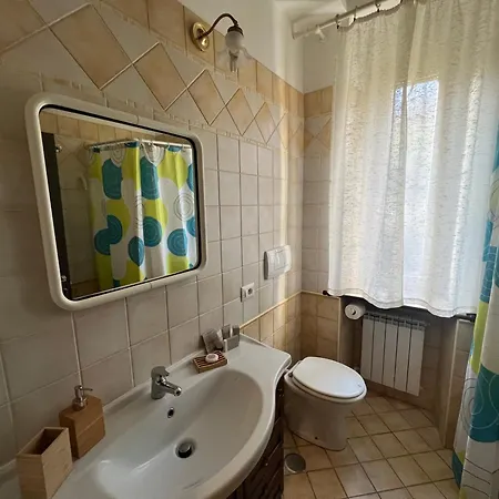 Domus Juliae